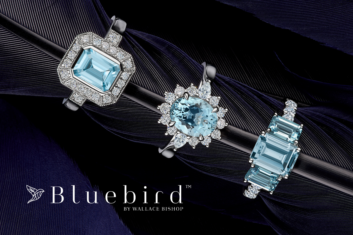 Wallace Bishop’s New ‘1917™’ & ‘Bluebird™’ collections.