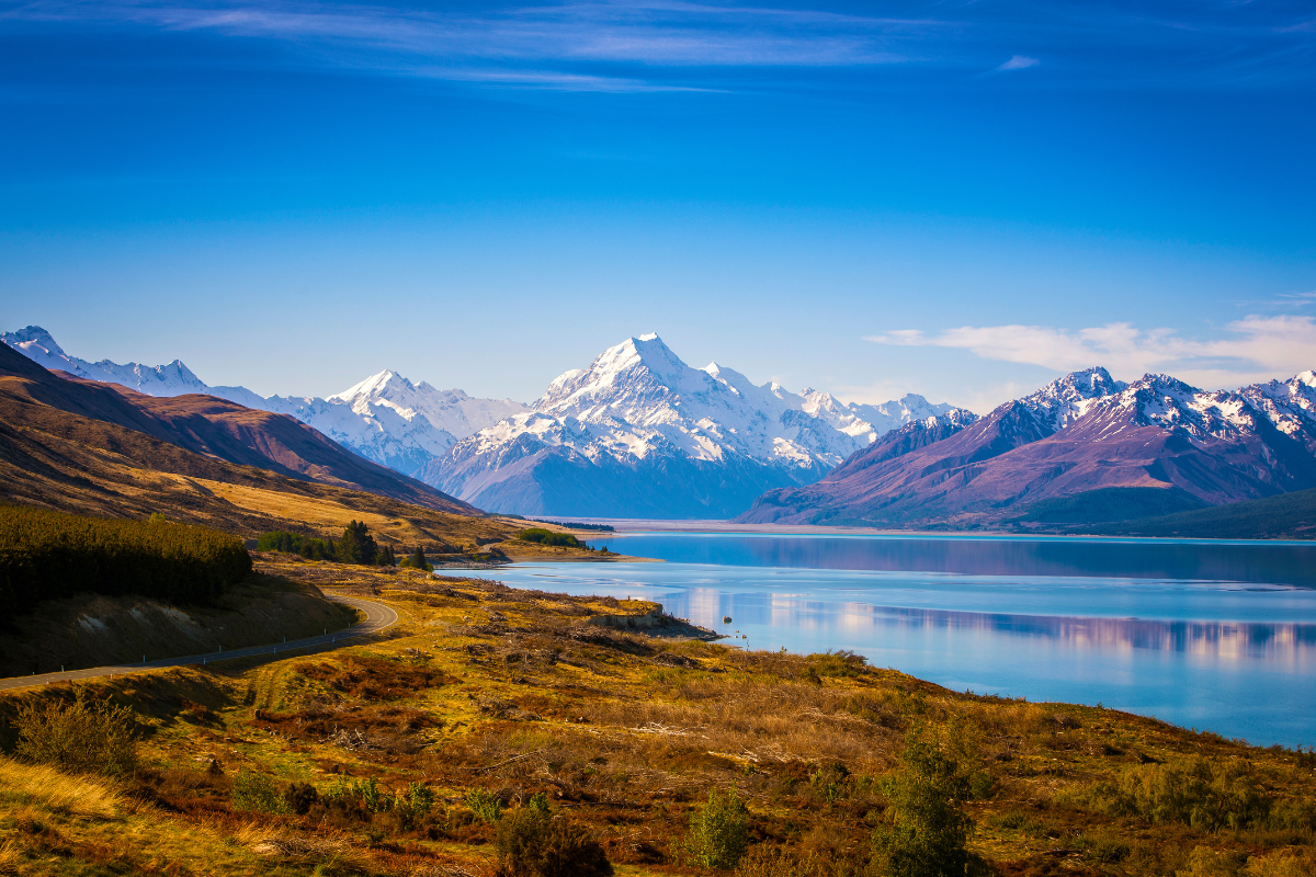 NEW ZEALAND SALE