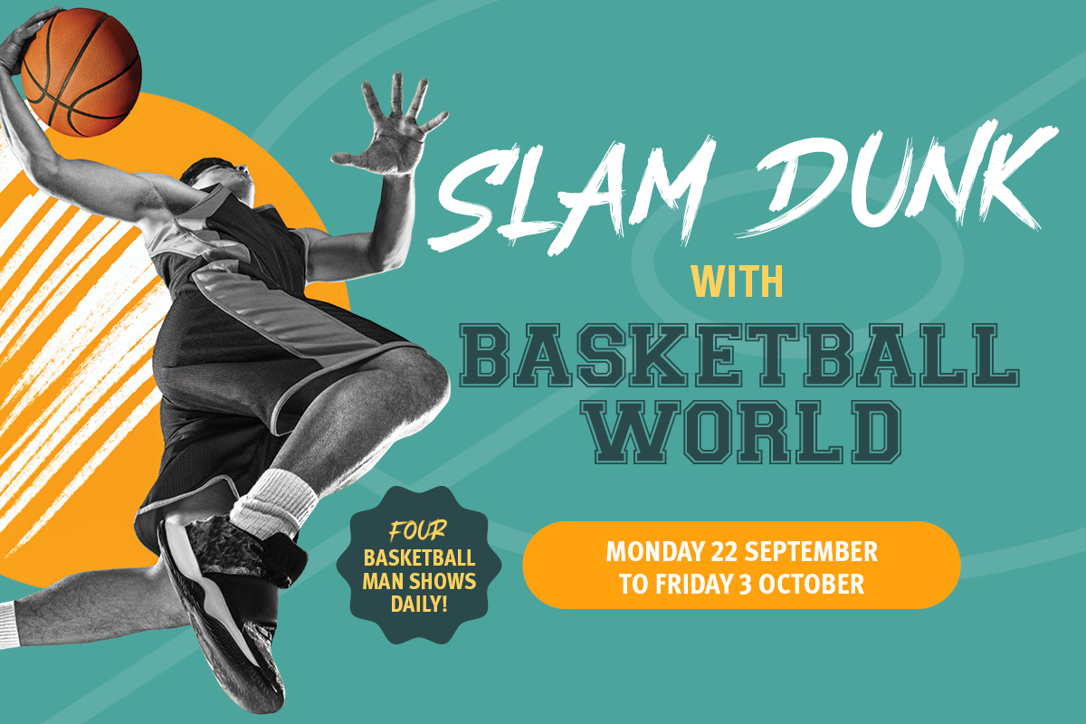Basketball World 🏀