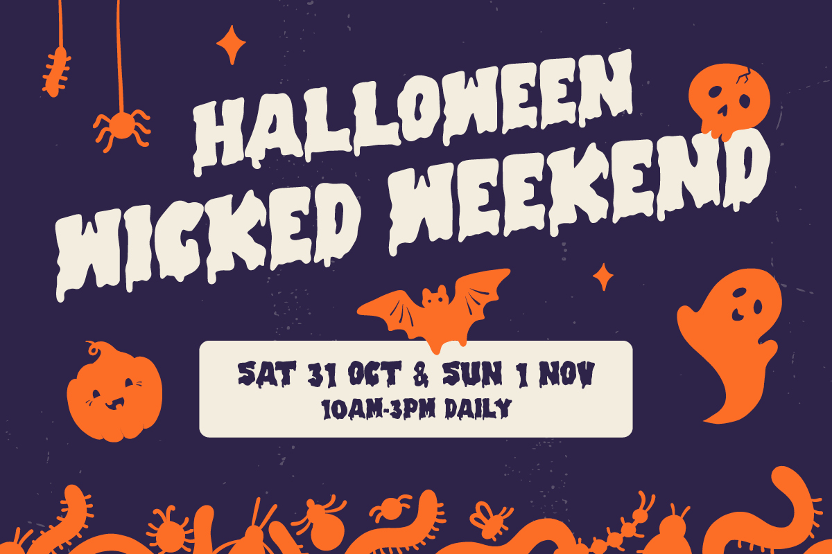 Halloween Wicked Weekend